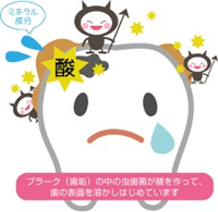 虫歯菌