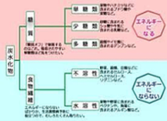 糖質の働き