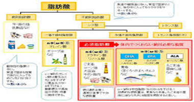 脂質の種類