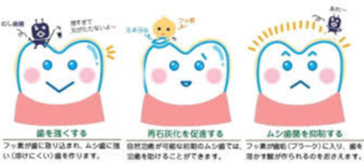 フッ素