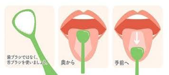 舌ブラシの使い方